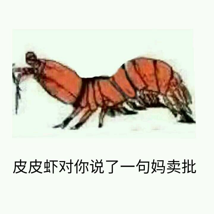 皮皮虾对你说了一句妈卖批