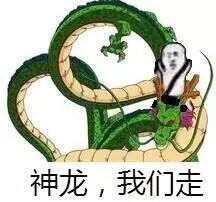 神龙，我们走！