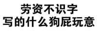 劳资不识字，写的什么狗屁玩意！（文字表情）