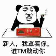 新人，我罩着你，谁TM敢动你！