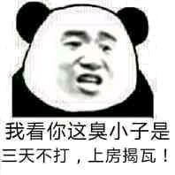 我看你这臭小子是三天不打，上房揭瓦片！（熊猫人张学友）