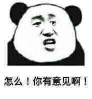 怎么！你有意见啊！