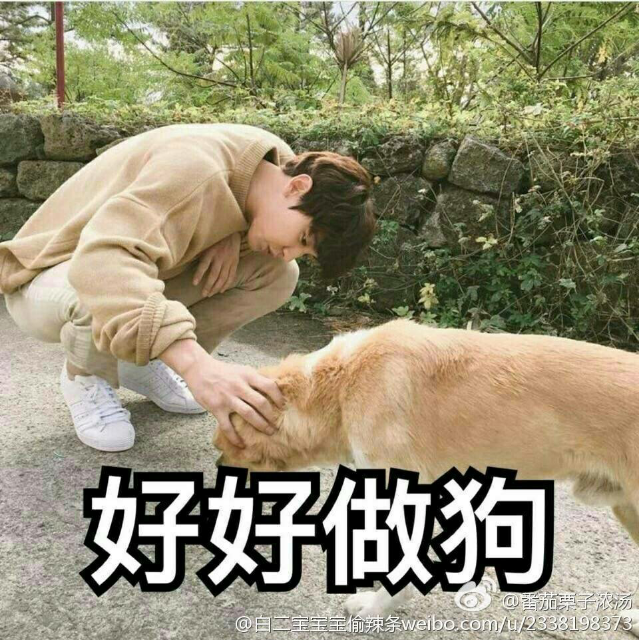 好好做狗！