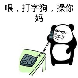 喂，打字狗，操你妈的！