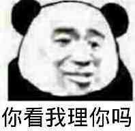 你看我理你了吗？