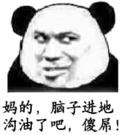 妈的，脑子进地沟油了吧，傻屌！