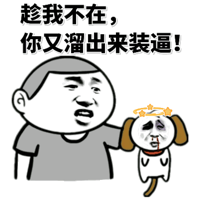 趁我不在，你又溜出来装逼！