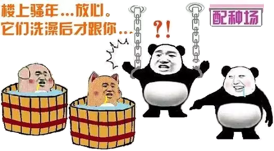 楼上骚年，放心它们洗澡后才跟你！（配种场！）