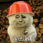 你凶我！（金馆长小猫）