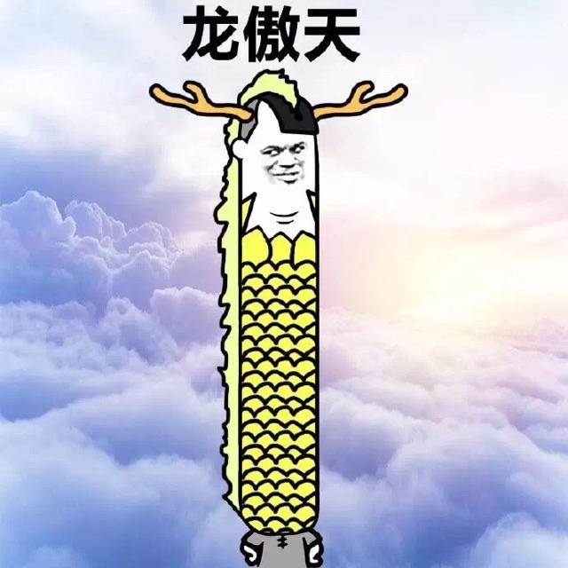 龙傲天