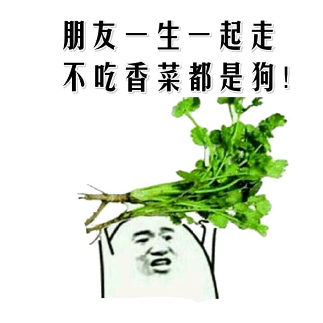 朋友一生一起走，不吃香菜都是狗！