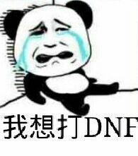 我想打DNF