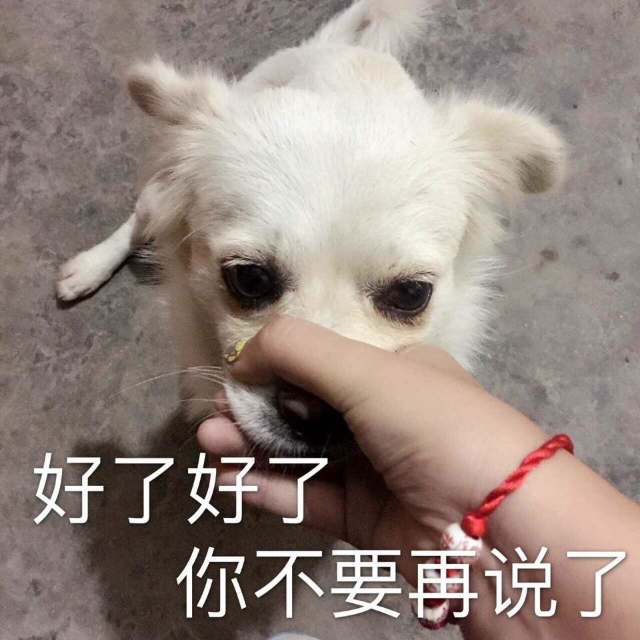 好了好了，你不要再说了