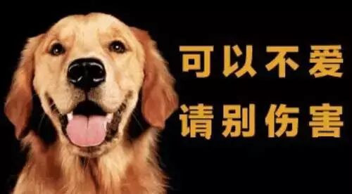 可以不爱，请别伤害