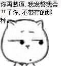 你再装逼，我发誓我会艹了你，不带套的那种。（猫脸）