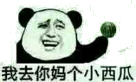 我去你个小西瓜 