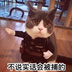 不说实话会被捕的（猫星人）