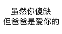 虽然你傻缺，但爸爸是爱你的！