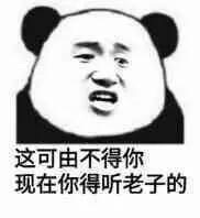 这可由不得你现在你得听老子的（熊猫人张学友）