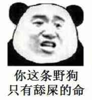 你这条野狗，只有舔屎的命！