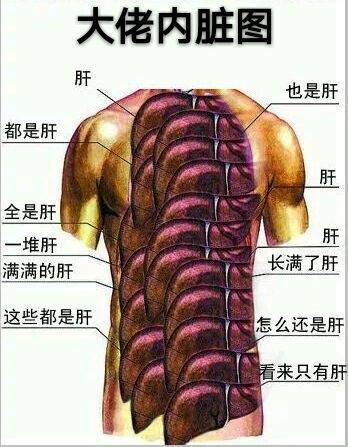 大佬内脏图！