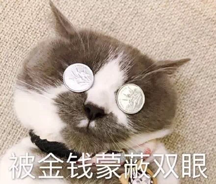 被金钱蒙蔽双眼 ！（小猫）