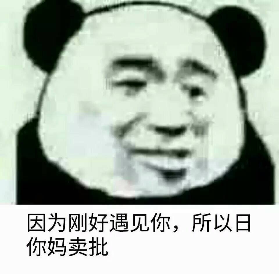 因为刚好遇见你，所以日你妈卖批（熊猫人）