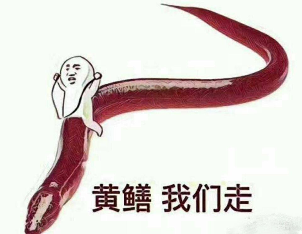 黄鳝，我们走！