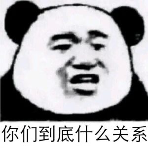 你们到底什么关系！（熊猫人）