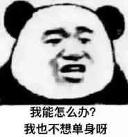 我能怎么办？我也不想单身呀