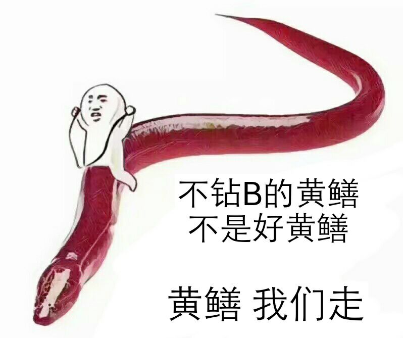 不钻B的黄鳝不是好黄鳝，黄鳝我们走