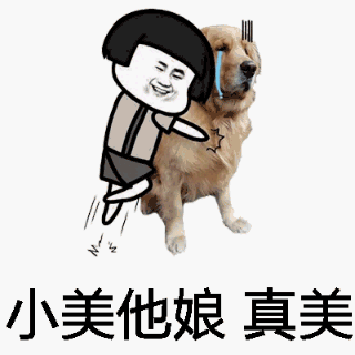 狗狗抱抱！