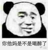 你他妈是不是喝醉了