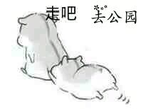 走吧，去公园！