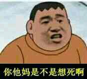 你他妈是不是想死啊