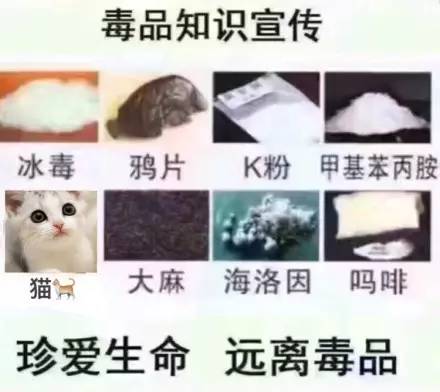 珍爱生命，远离毒品（喵星人）