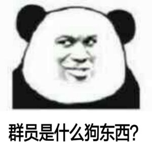 群员是什么狗东西？