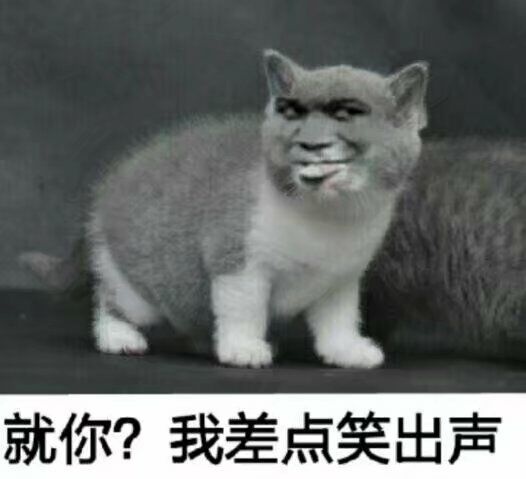 就你？我差点笑出声！（教皇小猫）