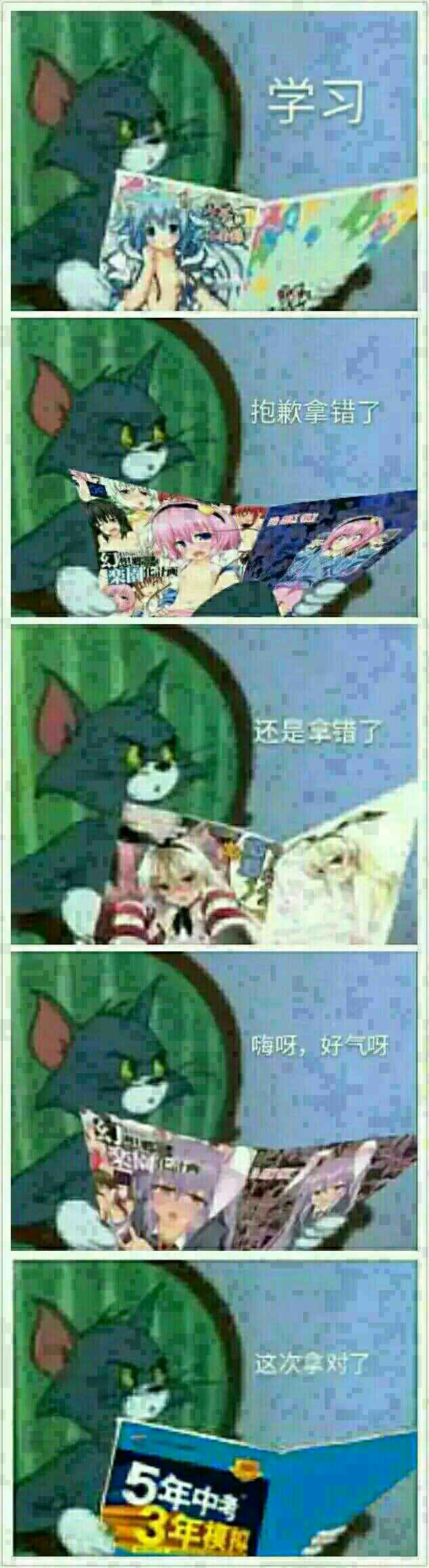 TOM猫学习