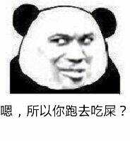 嗯，所以你跑去吃屎了？（熊猫人教皇）