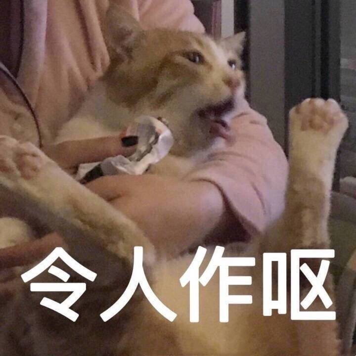 令人作呕（猫星人）