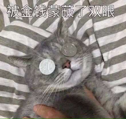 被金钱蒙蔽了双眼 