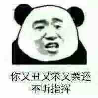 你又丑又笨又菜还不听指挥