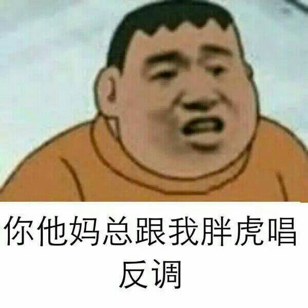 你他妈总跟我胖虎唱反调！