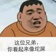 这位兄弟，你看起来像坨屎