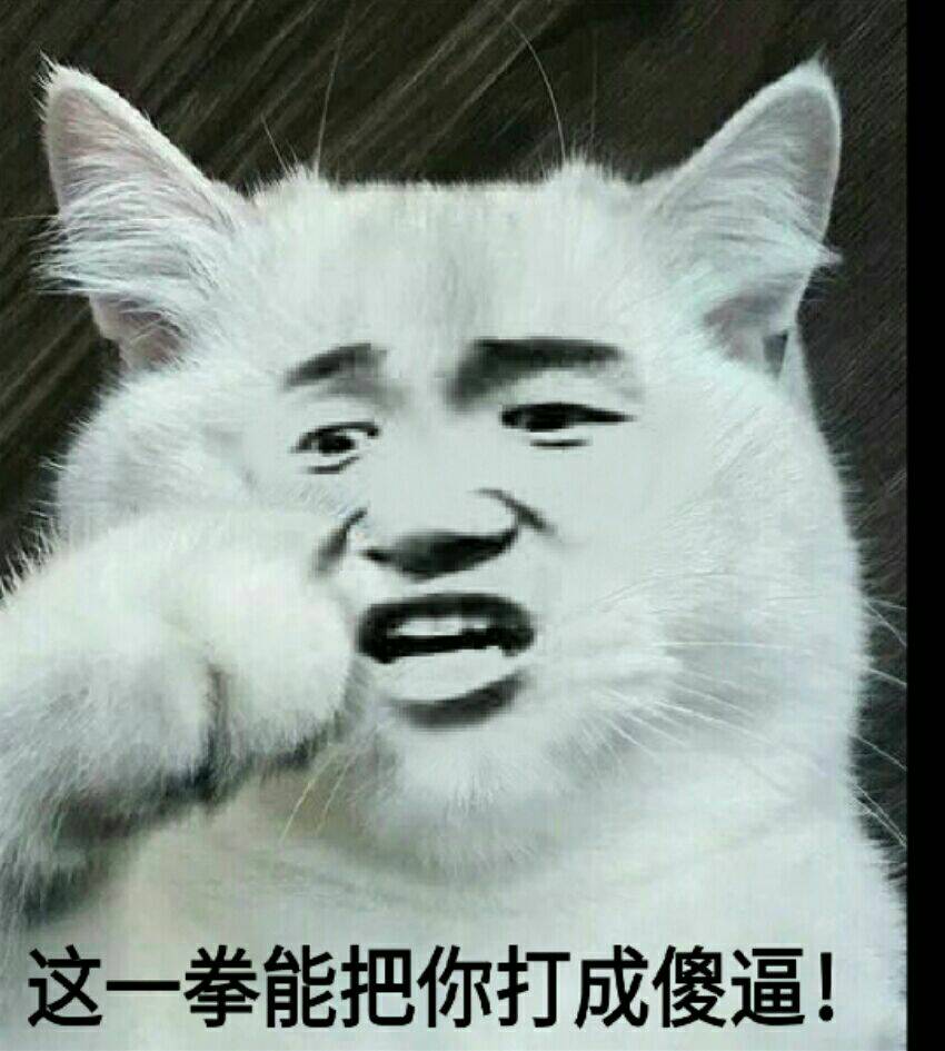 这一拳能把你打成傻逼！