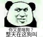 你又是啥狗？整天在这狗叫？