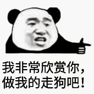 我非常欣赏你，做我的走狗吧