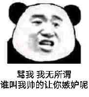 骂我，我无所谓，谁叫我帅的让你嫉妒呢！