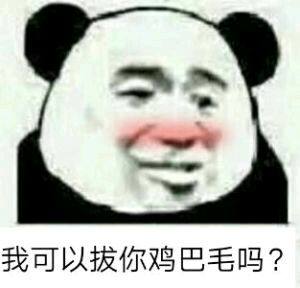 我可以拔你鸡巴毛吗？